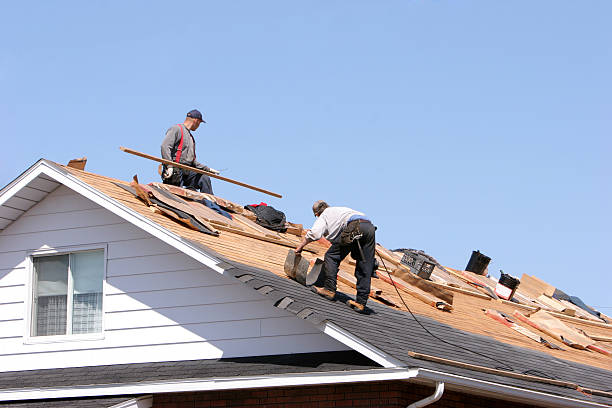 Best Asphalt Shingle Roofing  in Dover, NJ